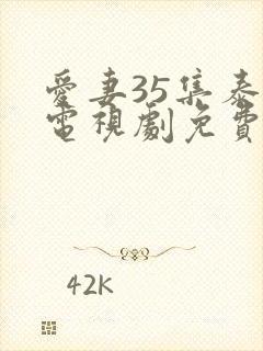 爱妻35集泰剧电视剧免费观看