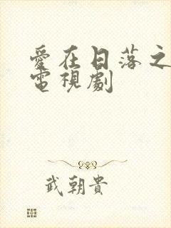 爱在日落之前 电视剧