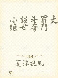 小说斗罗大陆2绝世唐门