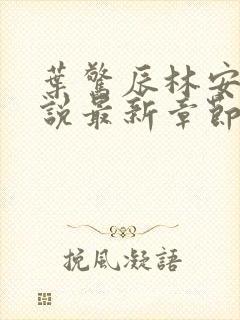 叶惊辰林安玥小说最新章节更新内容