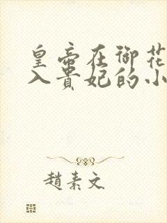 皇帝在御花园进入贵妃的小说