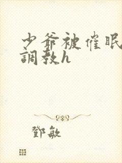 少爷被催眠玩弄调教h