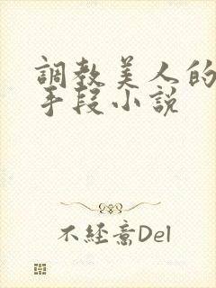 调教美人的百种手段小说