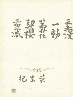 灵契第一季无删减樱花动漫封面