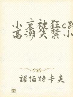 小哀被狂c躁到高潮失禁小说