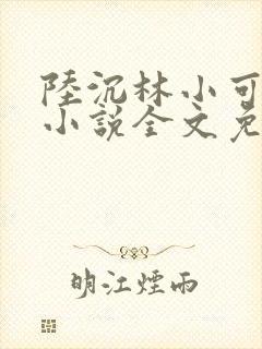 陆沉林小可江雪小说全文免费阅读封面