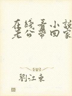 在线看小说国民老公带回家