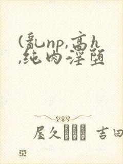 (乱np,高h,纯肉淫堕