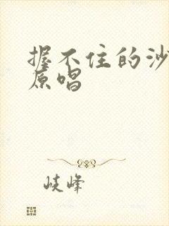 握不住的沙歌曲原唱