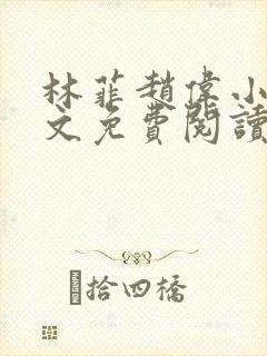 林菲赵伟小说全文免费阅读