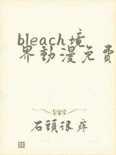 bleach境界动漫免费在线观看全集