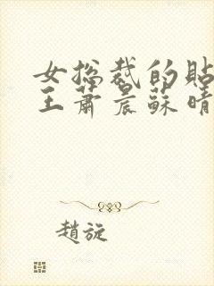 女总裁的贴身兵王萧晨苏晴