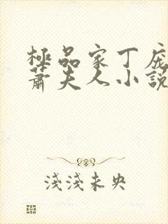 极品家丁庞管家萧夫人小说