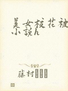 美女校花被破处小说h封面