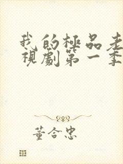 我的极品老婆电视剧第一季在线播放封面