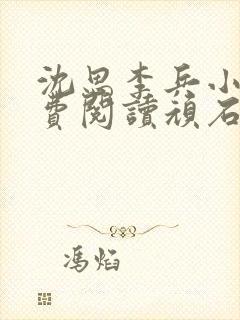 沈思李兵小说免费阅读顽石网