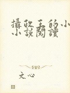 摄政王的小闲妻小说阅读