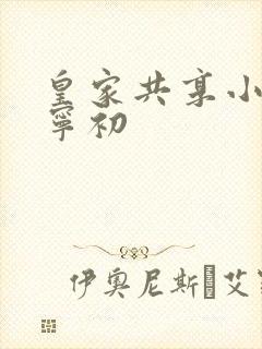 皇家共享小公主宁初