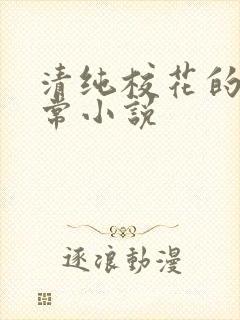 清纯校花的被日常小说封面