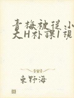青梅被从小摸到大H补课1视频