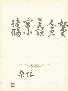 后宫美人奴闲云鹤小说免费阅读最新