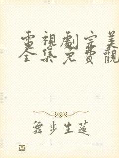 电视剧完美的他全集免费观看