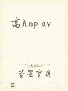 高hnp av