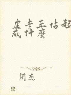 皮卡丘站起来变成什么封面