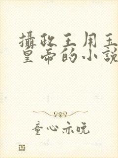 摄政王用玉髓整皇帝的小说