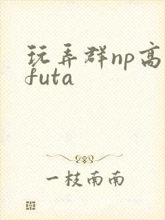 玩弄群np高hfuta