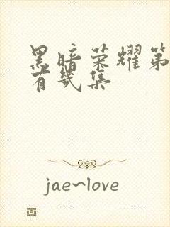 黑暗荣耀第一季有几集封面