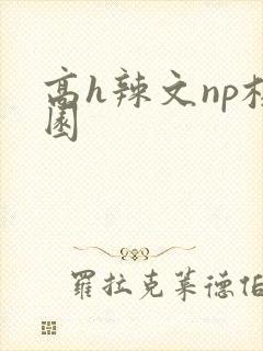 高h辣文np校园
