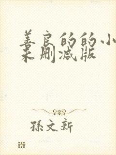 善良的的小[子未删减版