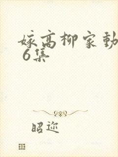 嫁高柳家动漫1 6集