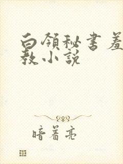 白领秘书羞耻调教小说