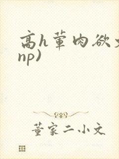 高h荤肉欲文(np)