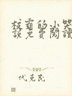 校霸的小哭包小说免费阅读在线封面