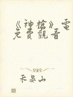 《神枪》电视剧免费观看