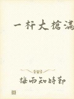 一杆大枪满屋扫封面