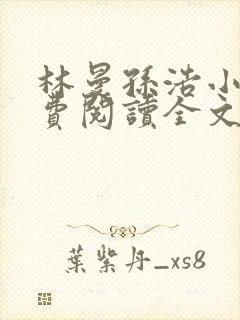 林曼孙浩小说免费阅读全文最新章节