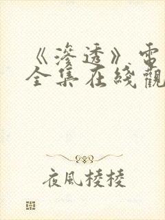 《渗透》电视剧全集在线观看免费