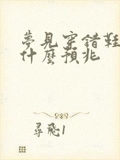 梦见穿错鞋子有什么预兆