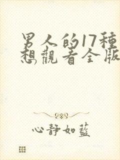 男人的17种幻想观看全版