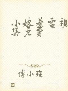 小娘惹电视剧全集免费