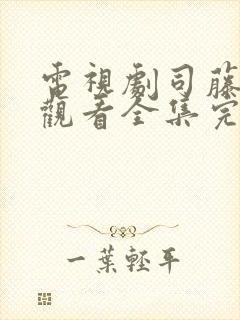 电视剧司藤免费观看全集完整版