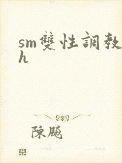 sm双性调教高h