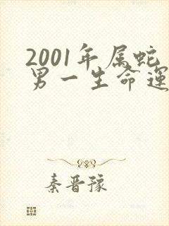 2001年属蛇男一生命运好吗