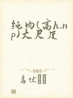 纯肉(高h.np)大尺度