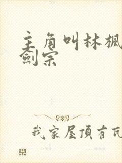 主角叫林枫神霄剑宗