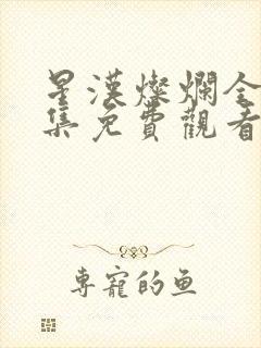 星汉灿烂全56集免费观看封面